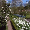 Wretham gardens and church ready for visitors
